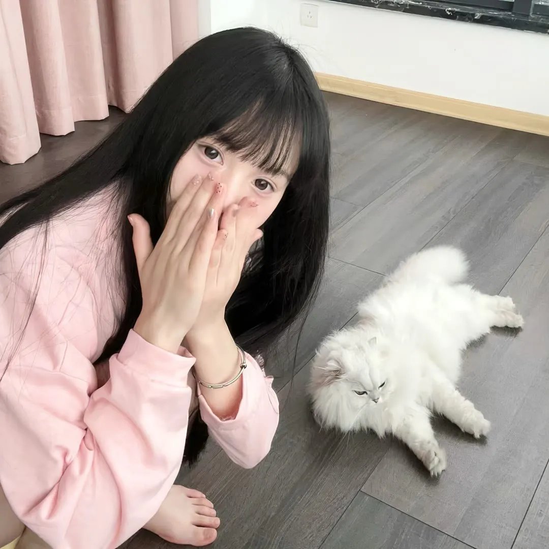 开始推理吧第二季